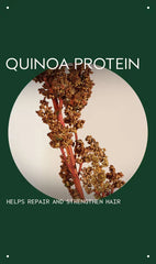 damage remedy™ intensive restructuring treatment