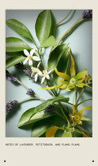 shampure™ vegan soy wax candle